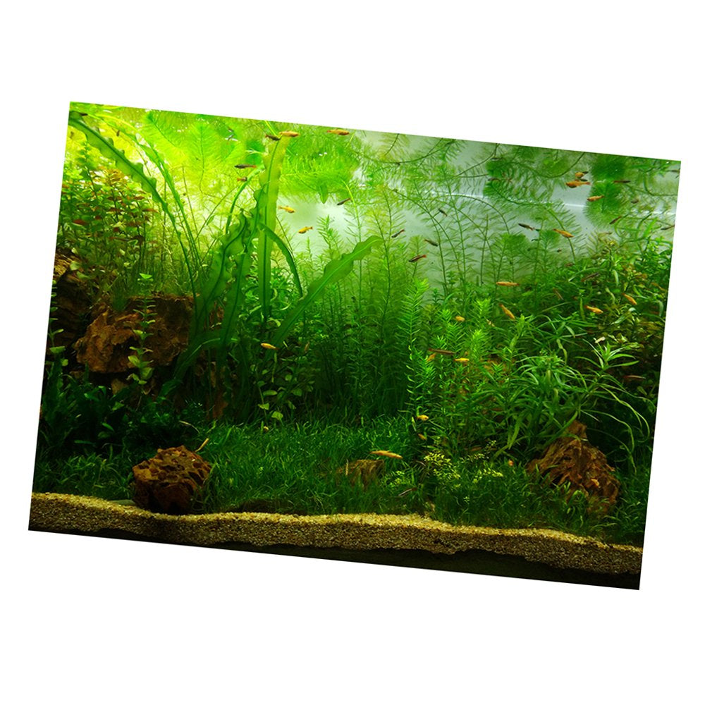 Aquarium Background Poster -Sided Sticker Plants 61X30Cm Animals & Pet Supplies > Pet Supplies > Fish Supplies > Aquarium Decor Gazechimp   