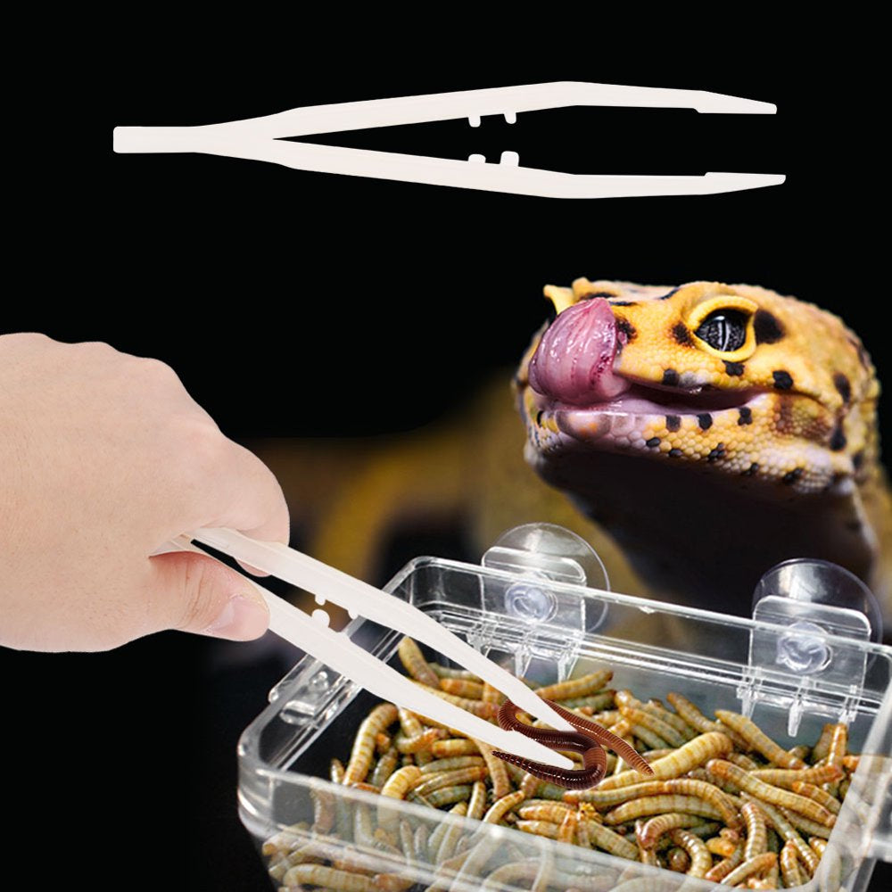 Reptile Feeder, Amphibians Reptile Feeder, Centipede for Scorpion Animals & Pet Supplies > Pet Supplies > Reptile & Amphibian Supplies > Reptile & Amphibian Food LYUMO   