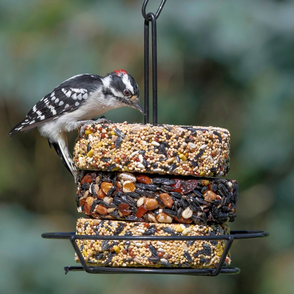 Audubon Park Suet Crunch Snack Stack Wild Bird Food, New, 9.25 Oz. Animals & Pet Supplies > Pet Supplies > Bird Supplies > Bird Food Global Harvest Foods Ltd.   