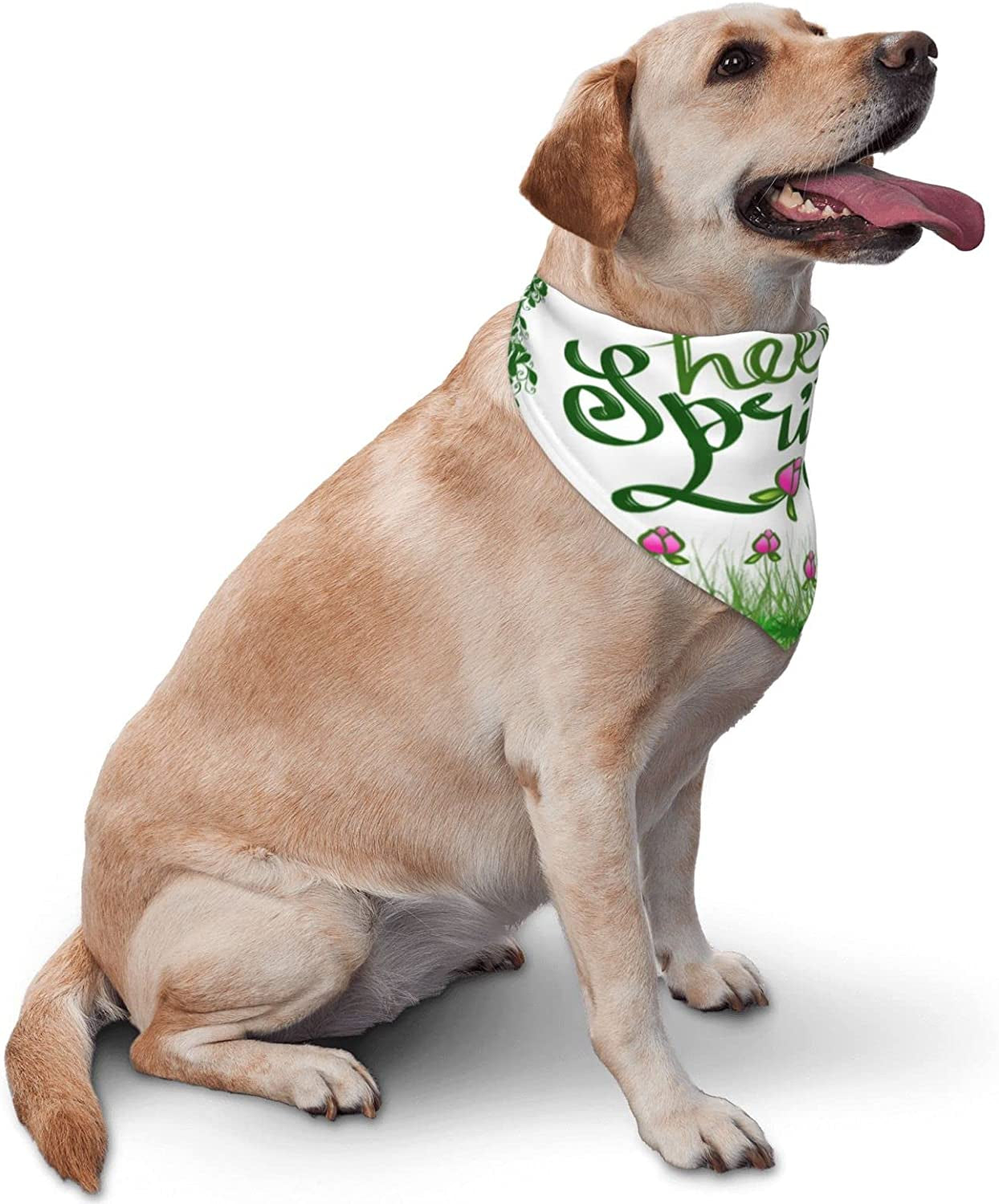 Hand Lettering Hello Spring Pet Dog and Cat Decorative Triangle Scarf,Dog Bandana,Breathable and Stain Resistant. Animals & Pet Supplies > Pet Supplies > Dog Supplies > Dog Apparel ZALTAS   