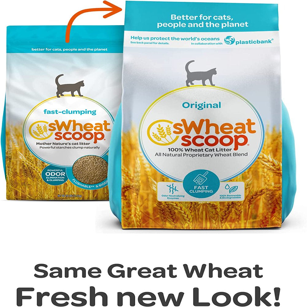 Swheat Scoop Wheat Cat Litter, Original Fast Clumping, 36 Pound Bag Animals & Pet Supplies > Pet Supplies > Cat Supplies > Cat Litter sWheat Scoop   
