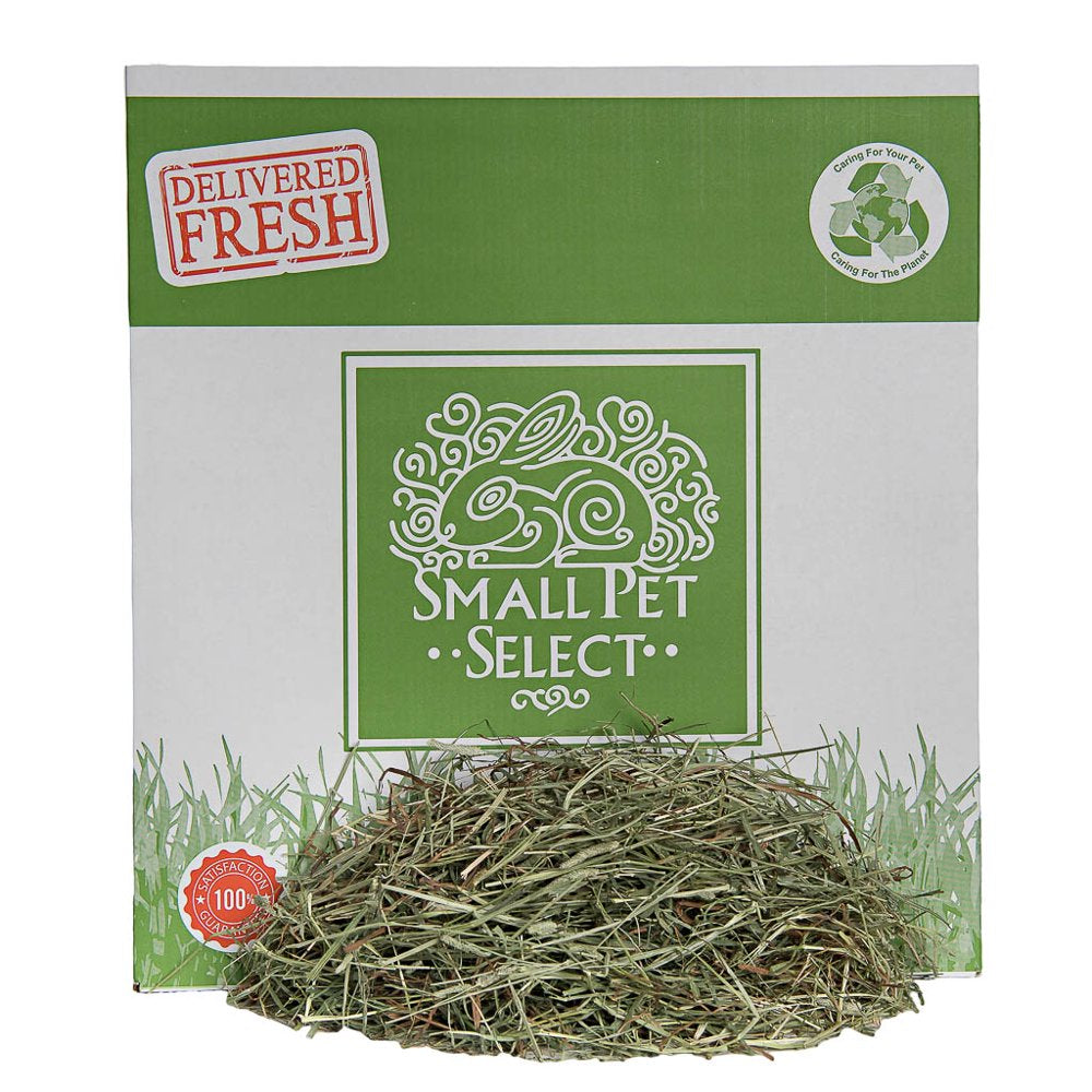 Small Pet Select 2Nd Cutting Timothy Hay Pet Food, 25-Pound Animals & Pet Supplies > Pet Supplies > Small Animal Supplies > Small Animal Food Small Pet Select   