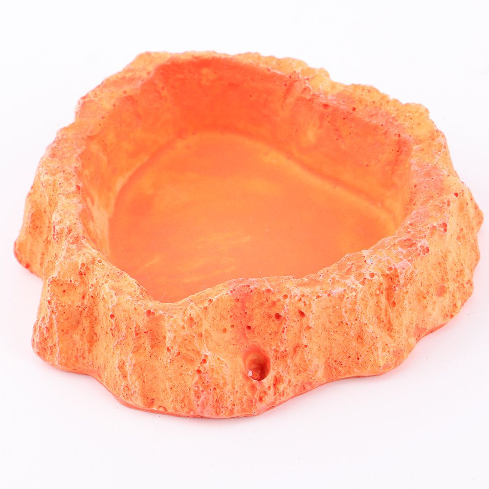 Bowl Dish Reptile Water Lizardfeeder Worm Supplies Amphibian Snake Tortoise Dishes Animal Small Gecko Feeding Cup
