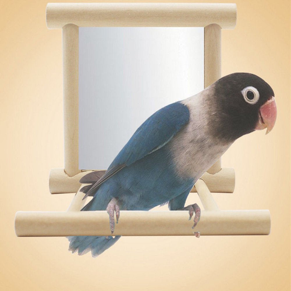 SANWOOD Funny Wooden Bird Toy Mirror Stand Platform Toys for Parrots Cockatiel Vogel Animals & Pet Supplies > Pet Supplies > Bird Supplies > Bird Toys Sanwood   