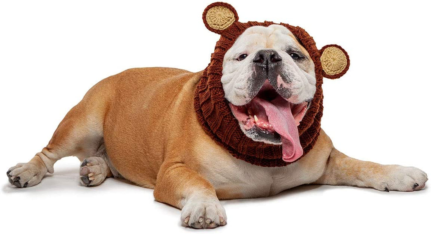 Zoo Snoods Grizzly Bear Costume for Dogs, Medium- Warm No Flap Ear Wrap Hood for Pets, Dog Outfit for Winters, Halloween, Christmas & New Year, Soft Yarn Ear Covers Animals & Pet Supplies > Pet Supplies > Dog Supplies > Dog Apparel Zoo Snoods 1 Large 