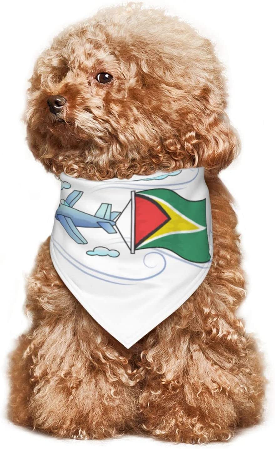 Airplane with Flag Gunaya Pet Dog and Cat Decorative Triangle Scarf,Dog Bandana,Breathable and Stain Resistant. Animals & Pet Supplies > Pet Supplies > Dog Supplies > Dog Apparel ZALTAS   