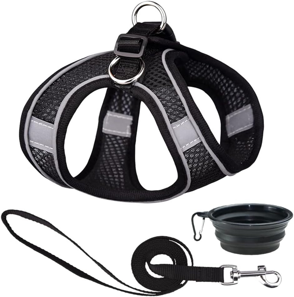 Dog Harness and Leash Set Reflective Pet Puppy Vest Harnesses Adjustable Step in Soft Mesh for Medium Girl Boy Cats Kitten Orange Animals & Pet Supplies > Pet Supplies > Dog Supplies > Dog Apparel Weimostar Black L 