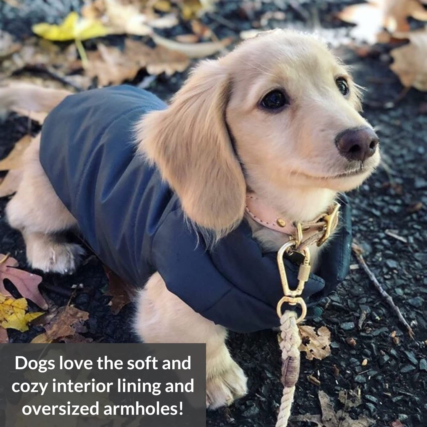 DJANGO Puffer Dog Jacket and Reversible Cold Weather Dog Coat—Water-Repellent and Adjustable Dog Jacket with Windproof Protection, Easy-Access Leash Portal, and Velcro Closure (Medium, Twilight Blue) Animals & Pet Supplies > Pet Supplies > Dog Supplies > Dog Apparel DJANGO   