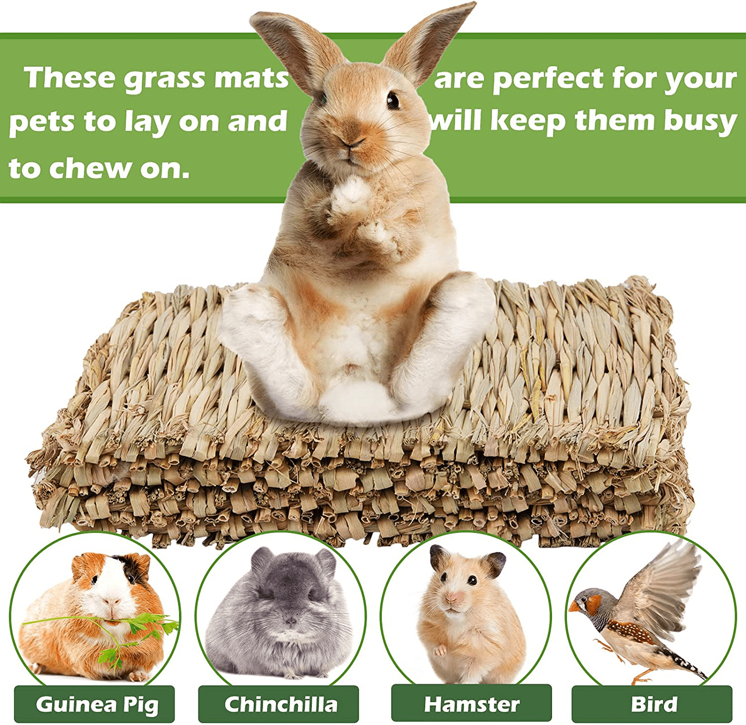 4Pack Grass Mat for Rabbits Bunny Straw Woven Bed Bedding Nest Chew Toy for Guinea Pigs Chinchilla Hamsters Rats Birds and Other Small Animals 11.8 × 9 Inches Animals & Pet Supplies > Pet Supplies > Small Animal Supplies > Small Animal Bedding SERJOOC   