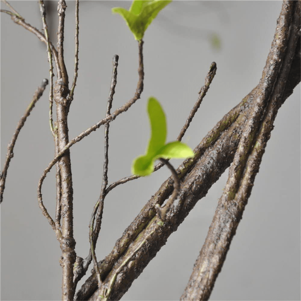 4Pcs Flexible Bend-A-Branch Jungle Vines Terrarium Leaves Lizard Gecko Habitat Tank Decor for Frogs, Snakes and More Reptiles Animals & Pet Supplies > Pet Supplies > Reptile & Amphibian Supplies > Reptile & Amphibian Habitat Accessories Hamiledyi   