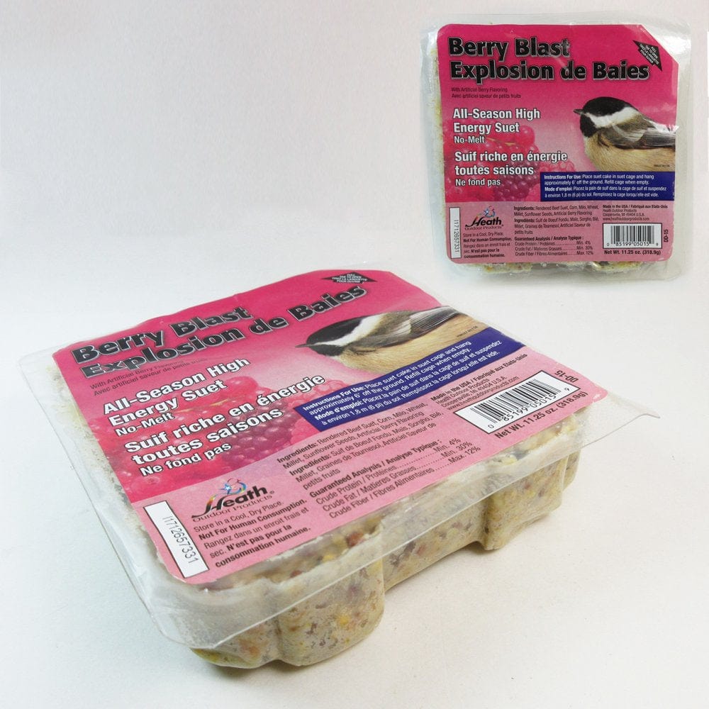 5 Pack All Season Suet Cake Bird Food Heath Outdoor Products Wild Treat 11.25 Oz Animals & Pet Supplies > Pet Supplies > Bird Supplies > Bird Treats JMK IIT   