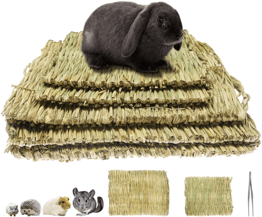 5 Pack Grass Mat Woven Bed Mat, Small Animal Natural Straw Bedding Nest Mat Chew Toys Bed Play Toy for Guinea Pig Parrot Rabbit Bunny Hamster Rat Animals & Pet Supplies > Pet Supplies > Small Animal Supplies > Small Animal Bedding Bac-kitchen   