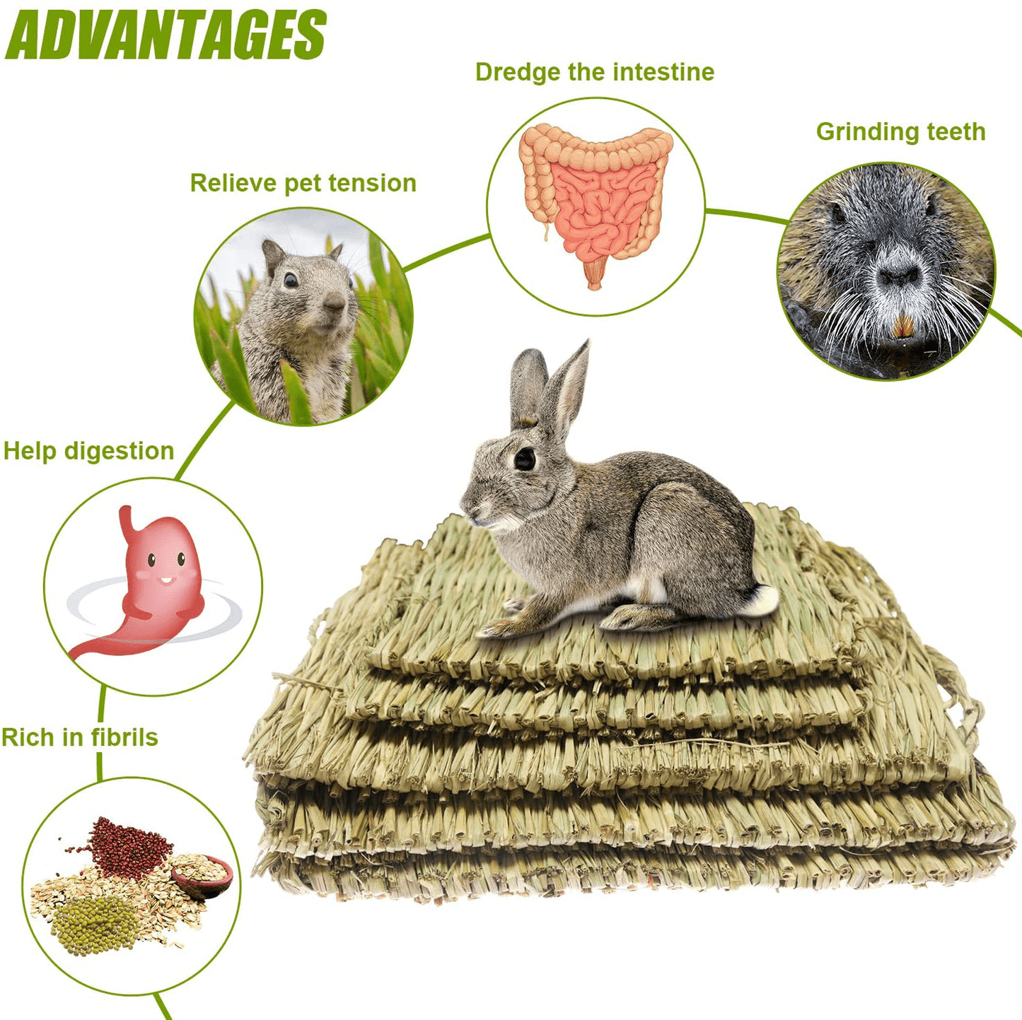 5 Pack Grass Mat Woven Bed Mat, Small Animal Natural Straw Bedding Nest Mat Chew Toys Bed Play Toy for Guinea Pig Parrot Rabbit Bunny Hamster Rat Animals & Pet Supplies > Pet Supplies > Small Animal Supplies > Small Animal Bedding Bac-kitchen   