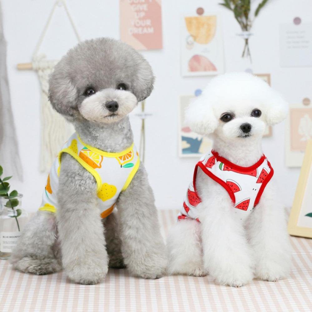 5 Pack Small Medium Dogs Shirts Breathable Dog T-Shirts Soft Tank Top Sleeveless Vest Dog Tee Shirt Dog Apparel Great for Summer Lemon Watermelon Strawberry Pattern Animals & Pet Supplies > Pet Supplies > Dog Supplies > Dog Apparel Amazing Fashion Decoration   