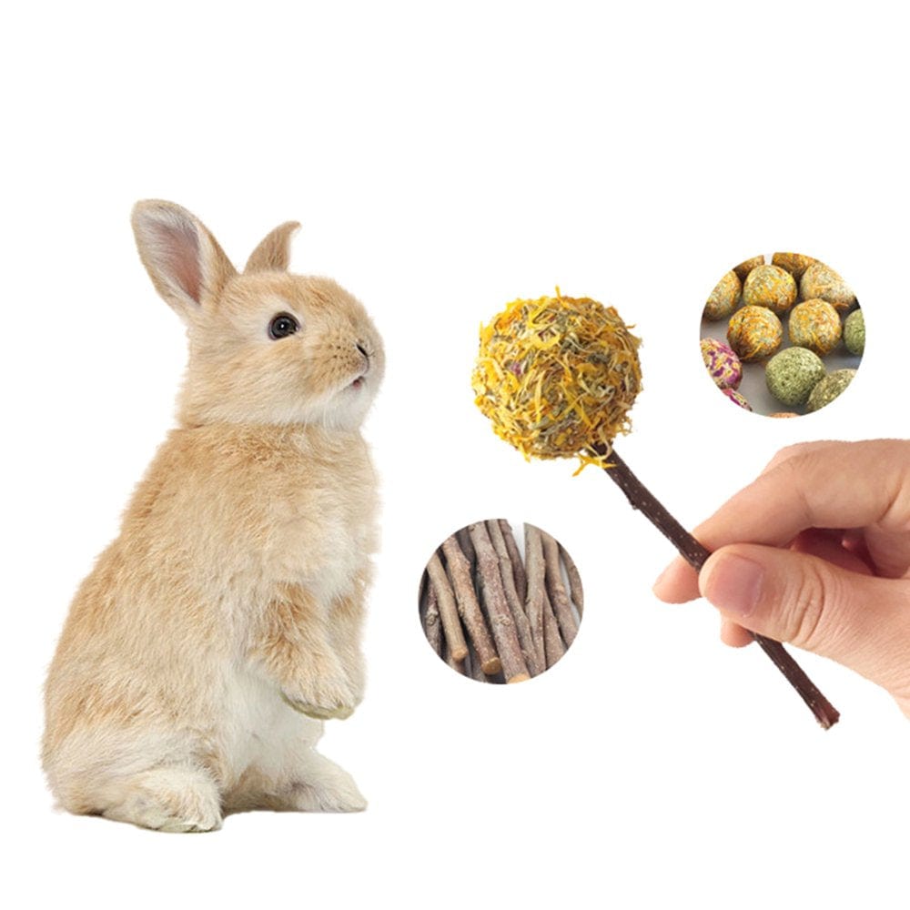 5-Pack Small Pet Chew Toys Hay Treats for Guinea Pig Rabbit Hamster Gerbil Animals & Pet Supplies > Pet Supplies > Small Animal Supplies > Small Animal Treats MALLXP   