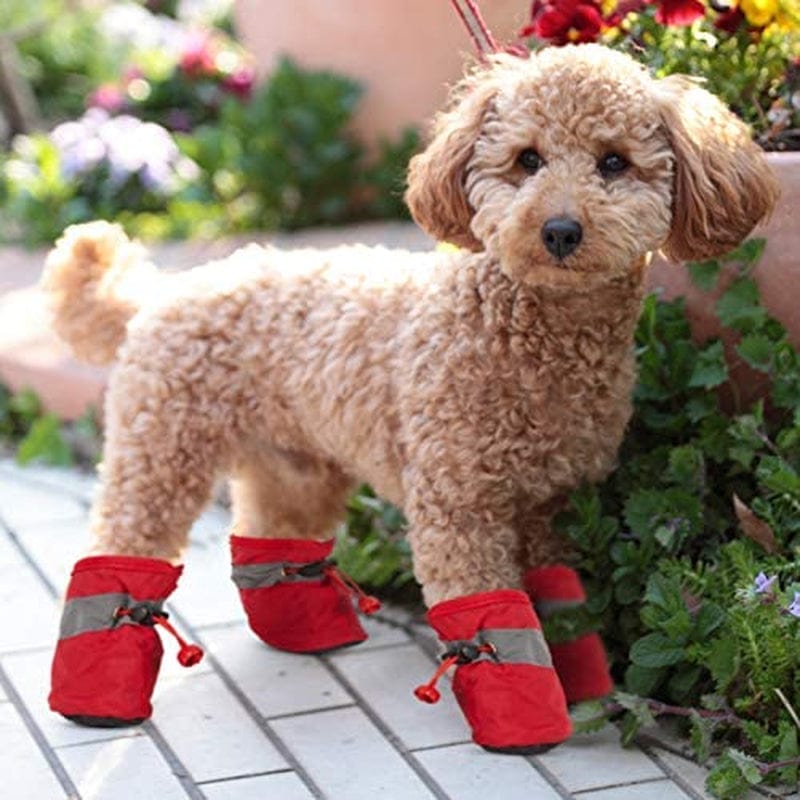 5 Sets 20 Pieces Dog Boots Paw Protectors Anti-Slip Dog Sock Shoes Waterproof Dog Boots with Adjustable Fastening Straps for Pets Dogs (Small Size) Animals & Pet Supplies > Pet Supplies > Dog Supplies > Dog Apparel Weewooday   