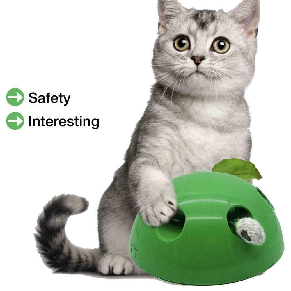 5 Star Super Deals Automatic Pop up Peekaboo Interactive Motion Cat Play Toy Animals & Pet Supplies > Pet Supplies > Cat Supplies > Cat Toys 5 Star Super Deals   