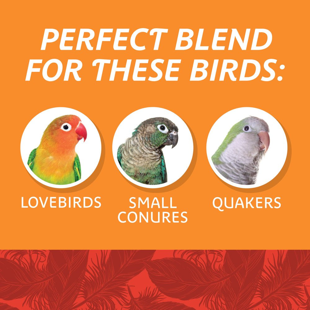 Pennington Medium Bird Blend Bird Food for Cockatiels, Love Birds; 3 Lb Bag Animals & Pet Supplies > Pet Supplies > Bird Supplies > Bird Food D & D Commodities   