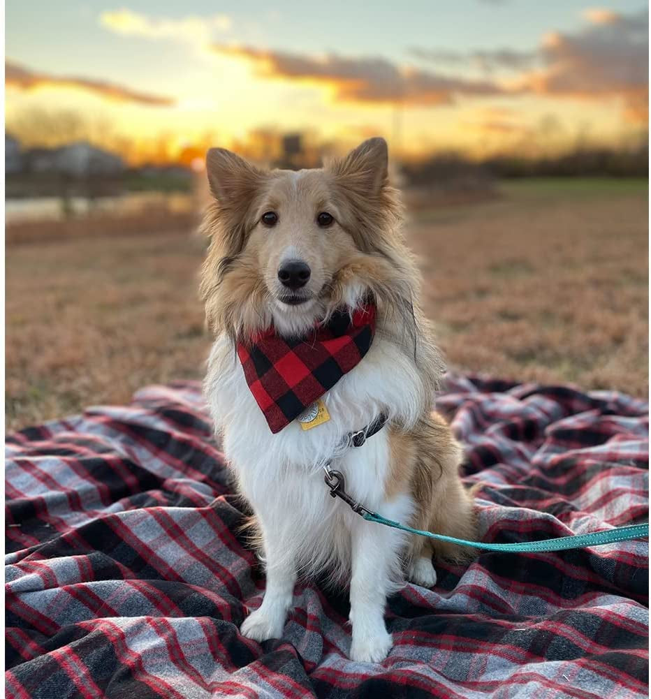 NACOCO Dog Bandana Bibs Pet Plaid Scarf Triangle Head Scarfs Accessories Neckerchief for Small and Medium Dog (1 Pack Red, S) Animals & Pet Supplies > Pet Supplies > Dog Supplies > Dog Apparel NACOCO   