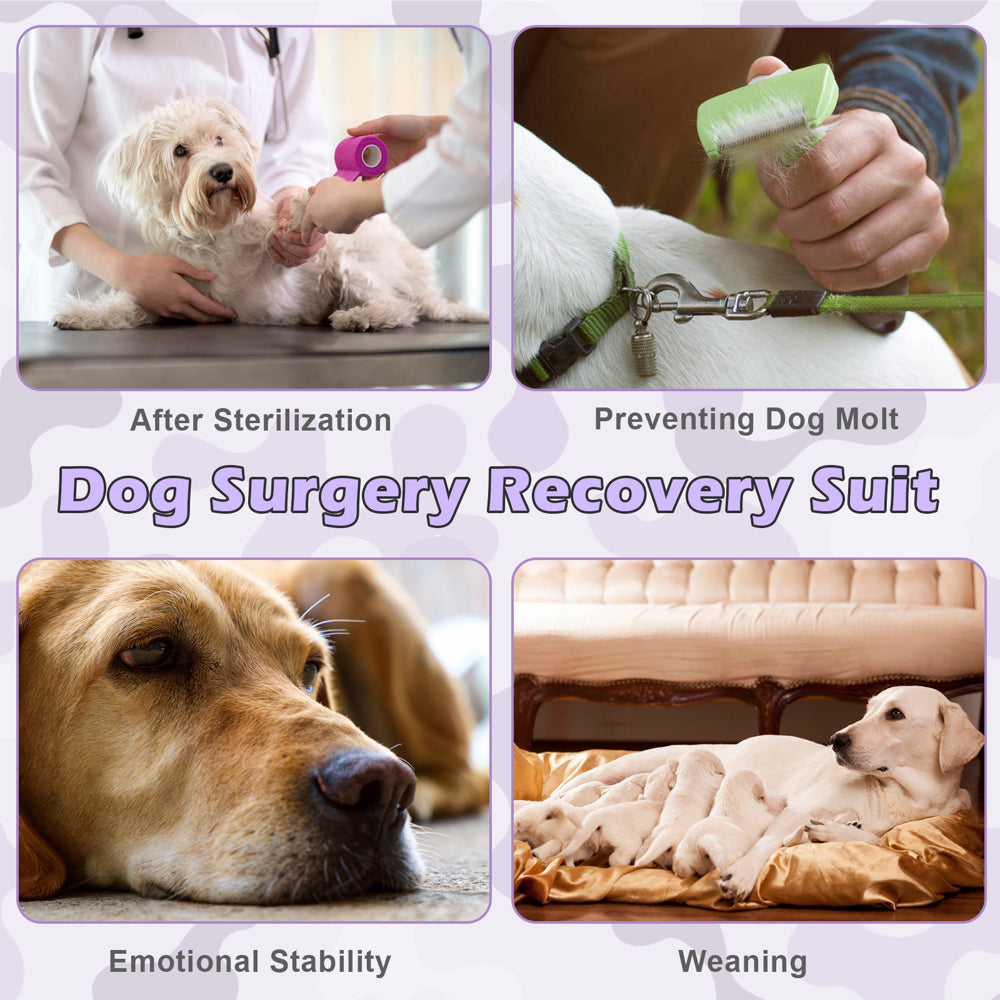 ROZKITCH Dog Onesie Surgical Recovery Suit, Camouflage Breathable Abdominal Wounds Bandages Cone E-Collar Alternative, Anti-Licking Pet Surgery Recovery Suit Animals & Pet Supplies > Pet Supplies > Dog Supplies > Dog Apparel ROZKITCH   