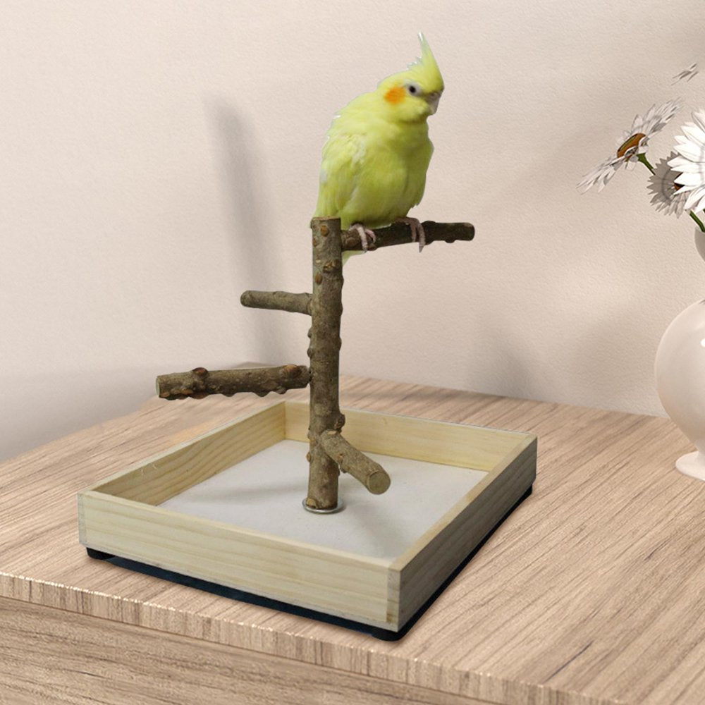 Bird Perch Stand Tabletop,Parrot Playground Bird Gym Natural Wooden Perch Play 36X36X25Cm Animals & Pet Supplies > Pet Supplies > Bird Supplies > Bird Gyms & Playstands Gazechimp   