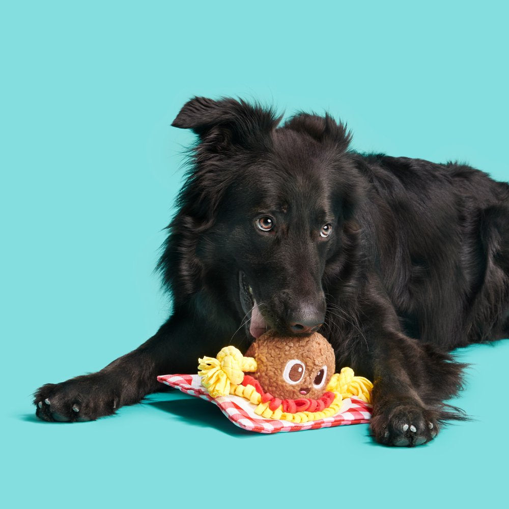 BARK Spaghetti and Muttballs Dog Toy - Features Tug-O-War, Xs to Medium Dogs