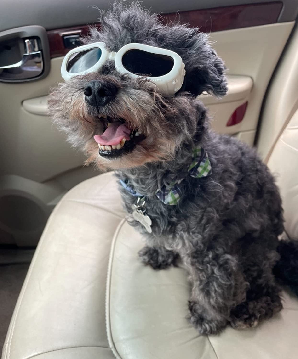 Enjoying Dog Sunglasses Small Breed Dogs Goggles UV Protection Eye Wear Windproof Anti-Fog Pet Glasses for Doggy about over 5 Lbs, Black Animals & Pet Supplies > Pet Supplies > Dog Supplies > Dog Apparel Enjoying White  