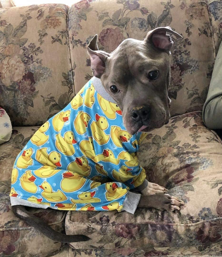 Tooth and Honey Pit Bull Pajamas/Rubber Duck Print/Lightweight Pullover Pajamas/Full Coverage Dog Pjs/Yellow with Grey Trim Animals & Pet Supplies > Pet Supplies > Dog Supplies > Dog Apparel Tooth & Honey   