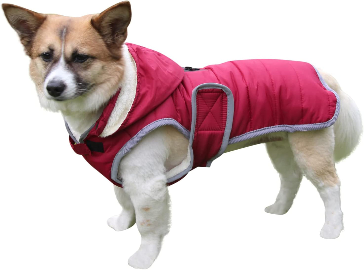 Joydaog Fleece Dog Hoodie for Medium Dogs Warm Puppy Jacket for Cold Winter Waterproof Dog Coats with Hood,Grey L Animals & Pet Supplies > Pet Supplies > Dog Supplies > Dog Apparel Qingwanke Red Large (Pack of 1) 