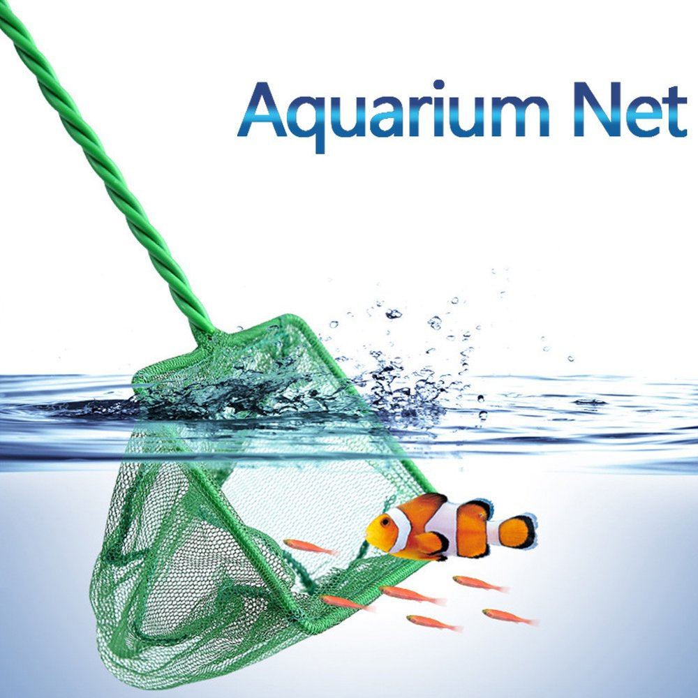 Danhjin Fish Net 3Inch Aquarium Net Fish Tank Net Fine Mesh Fish Catch Net with Plastic Handle Turtle Tank Accessories - Summer Savings Clearance Animals & Pet Supplies > Pet Supplies > Fish Supplies > Aquarium Fish Nets Danhjin Green_G  