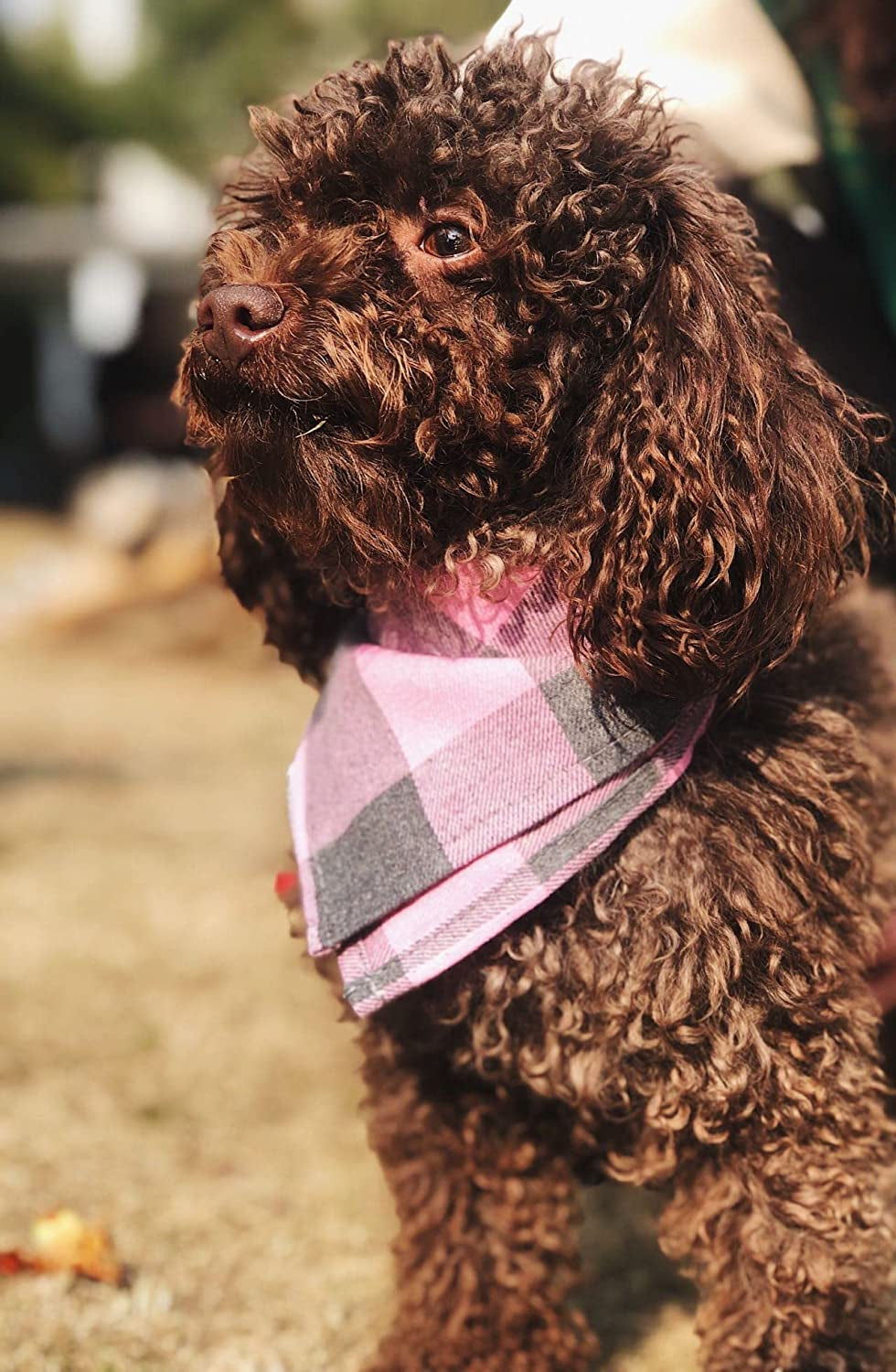 Bubblepup Plaid Dog Bandana, Cotton Dog Bandana for Small Medium Large Dogs, Dog Kerchief, 1PC Square Dog Scarf Dog Triangle Bibs Animals & Pet Supplies > Pet Supplies > Dog Supplies > Dog Apparel Bubblepup   