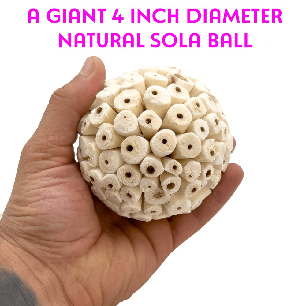 5109 Pk3 Mega 4 Inch Sola Ball M&M Bird Toys - Three Huge Natural Shredding Foraging Bird Toys Animals & Pet Supplies > Pet Supplies > Bird Supplies > Bird Toys M&M Bird Toys   