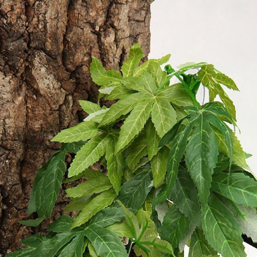 Artificial Reptile Plants, Lifelike Reptiles Terrarium Leaves, Plastic Reptile Habitats Plant Amphibian Hanging Terrarium Plants Decorations with Suction Cups for Hermit Crab Lizards Geckos Snake Animals & Pet Supplies > Pet Supplies > Small Animal Supplies > Small Animal Habitat Accessories MAXCOZY   