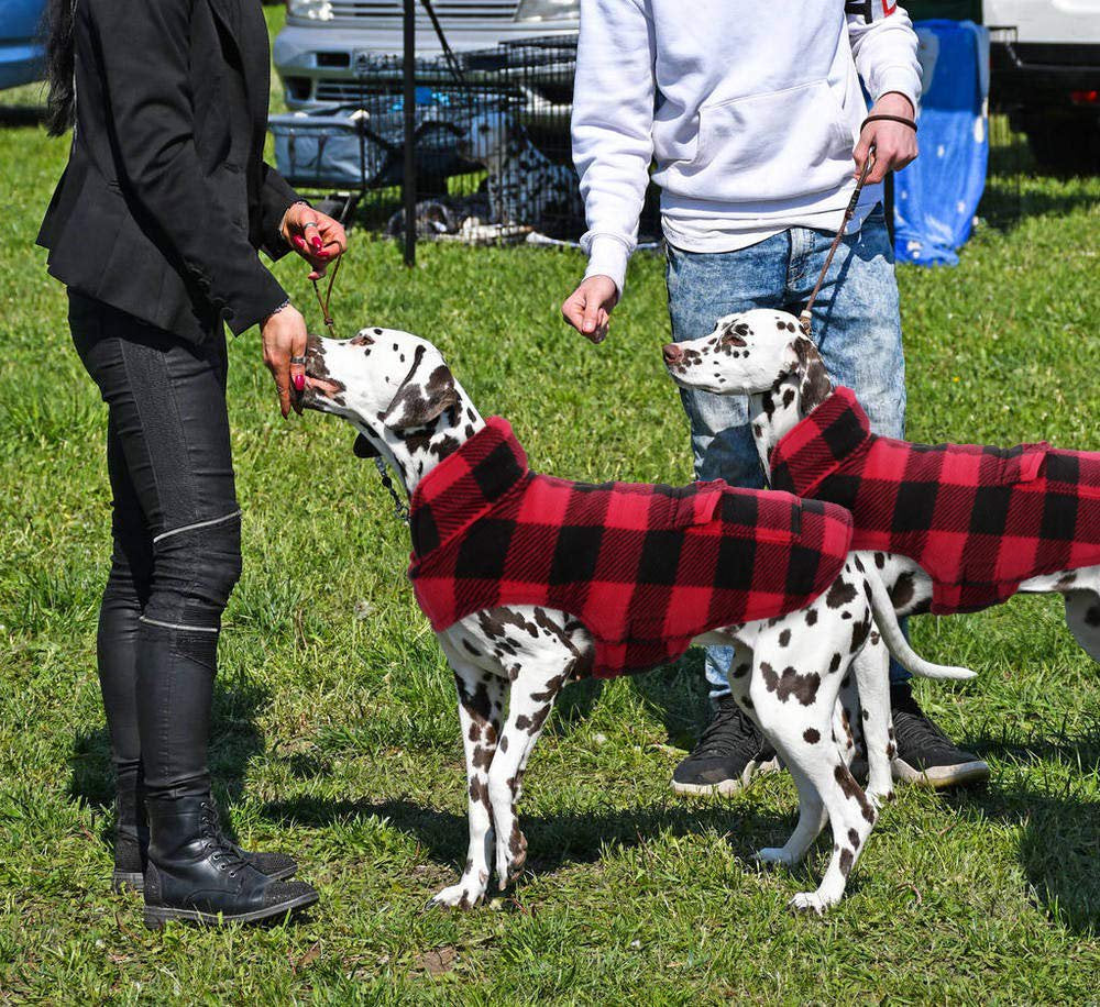 Kuoser British Style Plaid Dog Winter Coat, Windproof Cozy Cold Weather Dog Coat Dog Apparel Dog Jacket Dog Vest for Small Medium and Large Dogs with Pocket & Leash Hook XS-3XL Animals & Pet Supplies > Pet Supplies > Dog Supplies > Dog Apparel Kuoser   