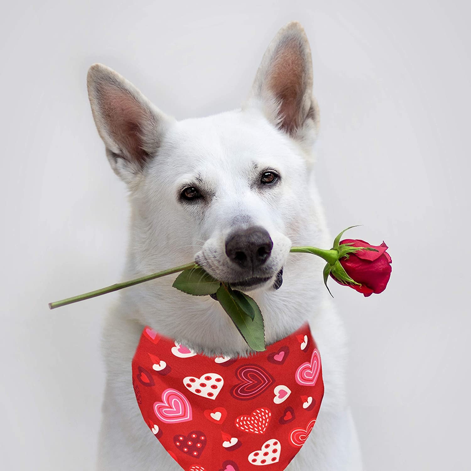 Valentines Dog Bandana, Holiday Cat Bandana Heart 2 Pack Scarfs for Small Medium Large Dogs Cats Pet Puppies Animals & Pet Supplies > Pet Supplies > Dog Supplies > Dog Apparel Pohshido   