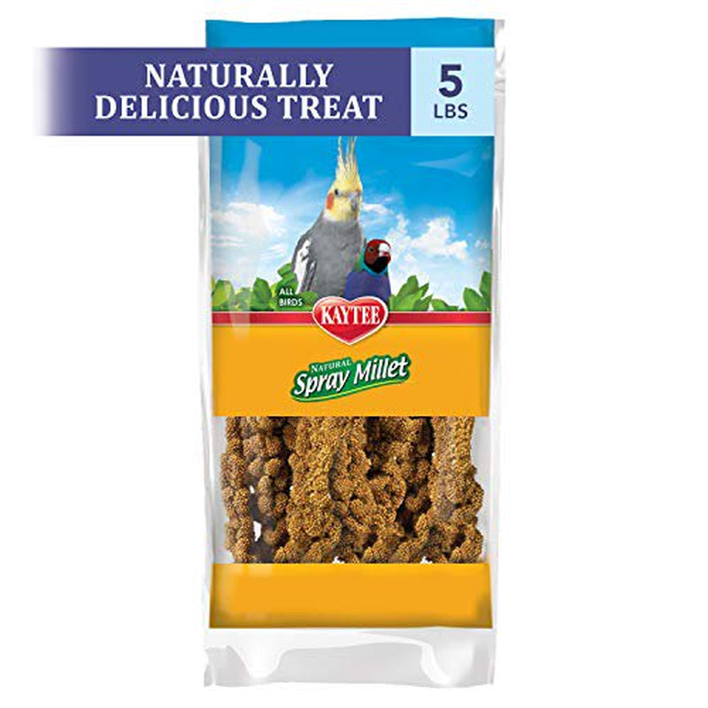 Kaytee Spray Millet Treat for Pet Birds, 5 Pound Animals & Pet Supplies > Pet Supplies > Bird Supplies > Bird Treats Kaytee   