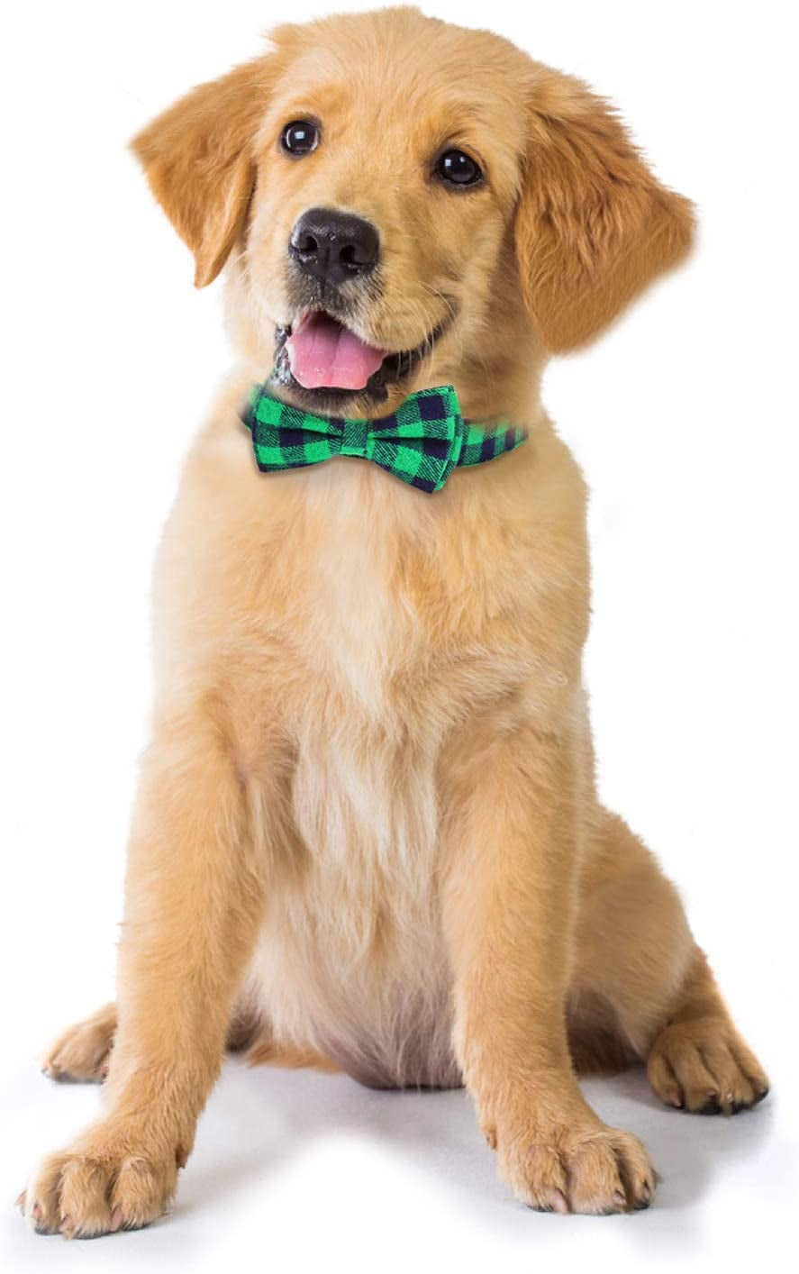 Dog Bow Tie, Vaburs Dog Cat Collar with Bow Tie Buckle Light Plaid Dog Collar for Dogs Cats Pets Soft Comfortable,Adjustable (S, Green) Animals & Pet Supplies > Pet Supplies > Dog Supplies > Dog Apparel Vaburs   