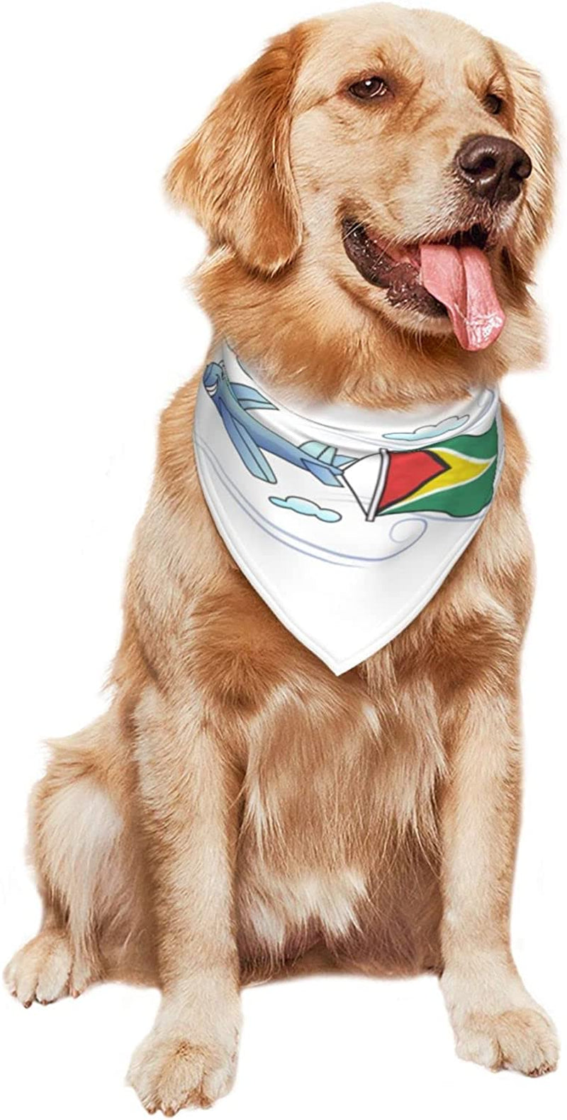 Airplane with Flag Gunaya Pet Dog and Cat Decorative Triangle Scarf,Dog Bandana,Breathable and Stain Resistant. Animals & Pet Supplies > Pet Supplies > Dog Supplies > Dog Apparel ZALTAS   