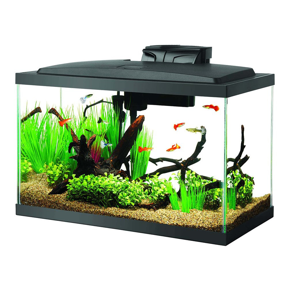 Aqueon Aquarium Starter Kit with LED Lighting 10 Animals & Pet Supplies > Pet Supplies > Fish Supplies > Aquarium Lighting Central Garden and Pet   