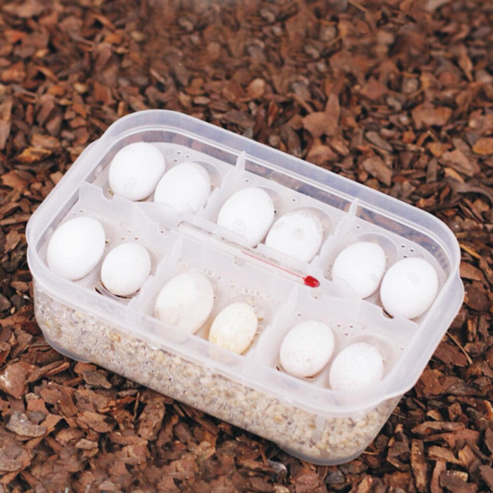 Haofy Reptile Egg Breeding Hatchery Box Transparent Plastic Amphibian Hatching Box Case Tray Breeding Incubator Hatching Tray for Snake Lizards Reptiles with Thermometer Animals & Pet Supplies > Pet Supplies > Reptile & Amphibian Supplies > Reptile & Amphibian Substrates Haofy   