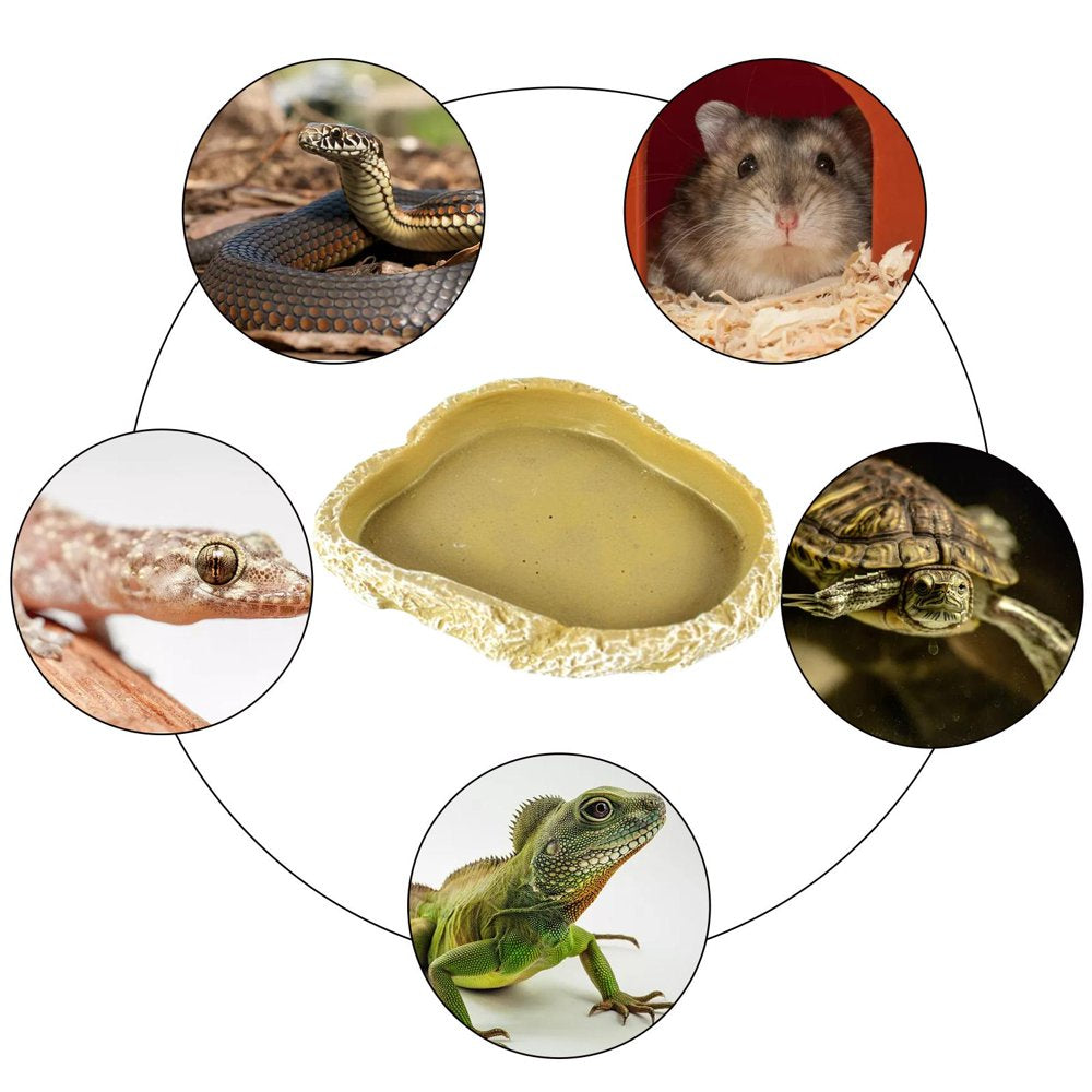 Amphibian Water Dish, Decor Terrarium Pets Worm Reptile Food Bowl Feeders Watering for Lizards, , Gecko, , Hermit Animals & Pet Supplies > Pet Supplies > Reptile & Amphibian Supplies > Reptile & Amphibian Food FITYLE   