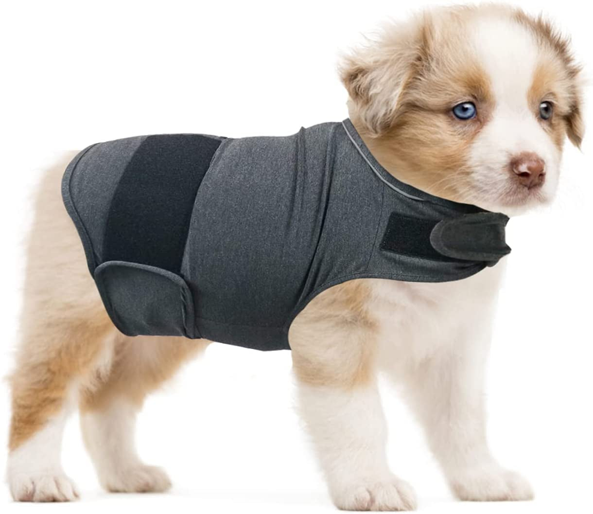 QIYADIN Dog Comfort Dog Anxiety Relief Coat, Breathable Shirts for Dogs, Dog Anxiety Vest Jacket Warp, Puppy Anxiety Calming Vest Wrap (XL) Animals & Pet Supplies > Pet Supplies > Dog Supplies > Dog Apparel PetHouzz XS  