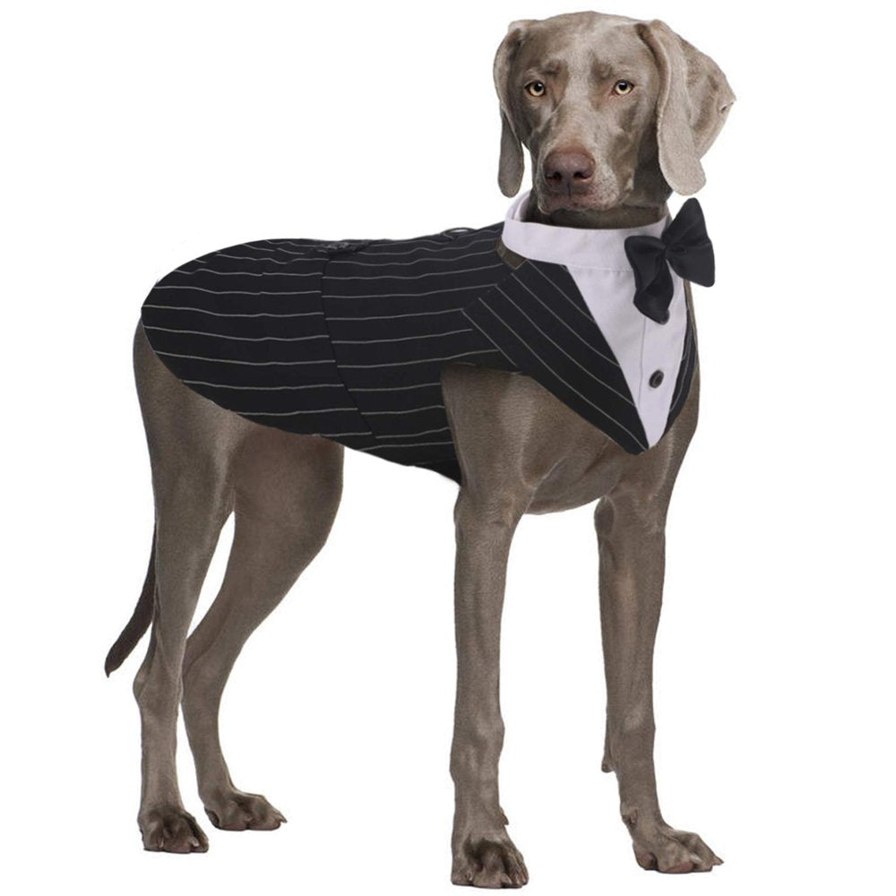 QBLEEV Dog Formal Tuxedo Suit for Medium Large Dogs，For Costume Wedding Party Outfit with Detachable Collar，Elegant Dog Apparel Bowtie Shirt and Bandana Set for Dress-Up Cosplay Holiday Wear Animals & Pet Supplies > Pet Supplies > Dog Supplies > Dog Apparel QBLEEV XL Black 