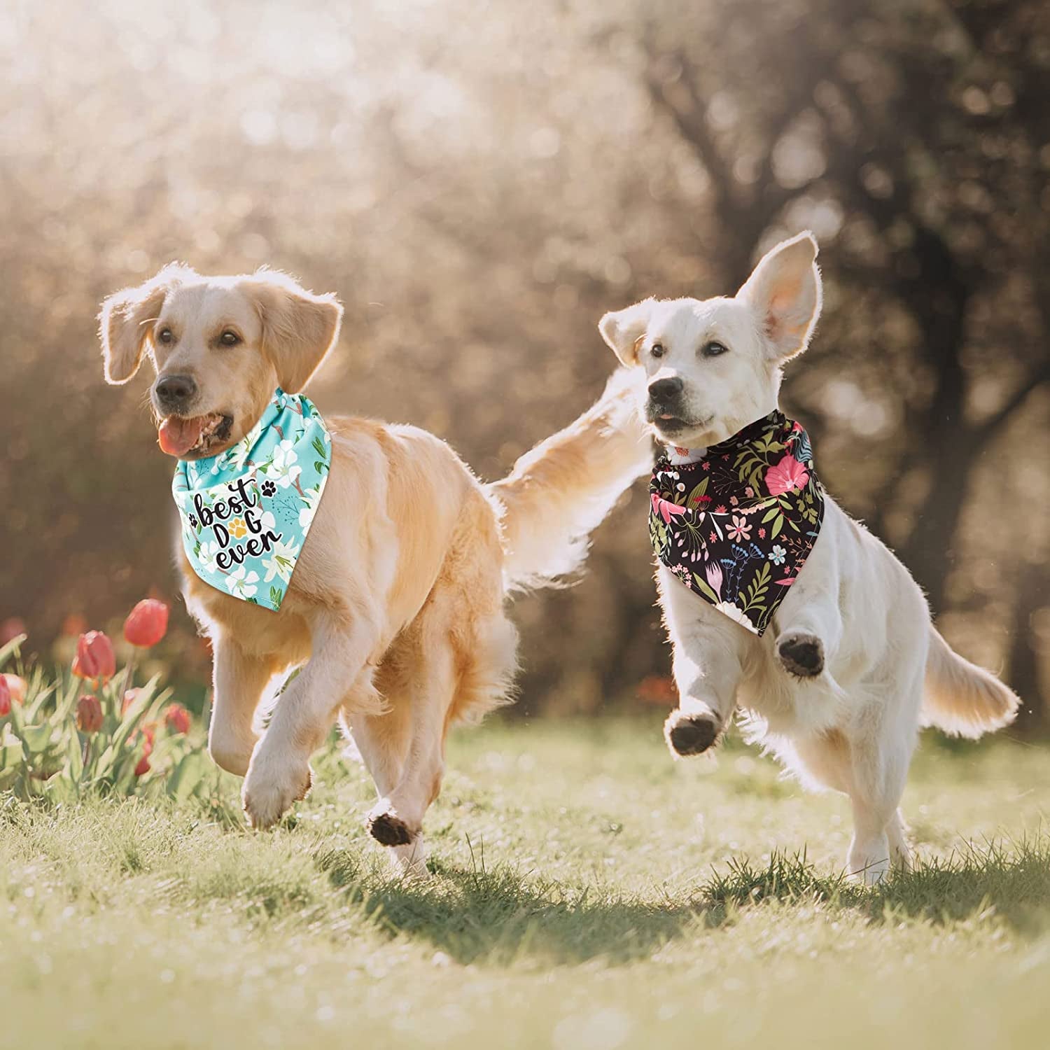 8 Pieces Floral Dog Bandana Girl Boy Spring Flower Pet Triangle Bib Scarf Daisy Rose Pet Bandana Washable Adjustable Dog Kerchief Suitable for Most Dogs and Cats Animals & Pet Supplies > Pet Supplies > Dog Supplies > Dog Apparel Weewooday   