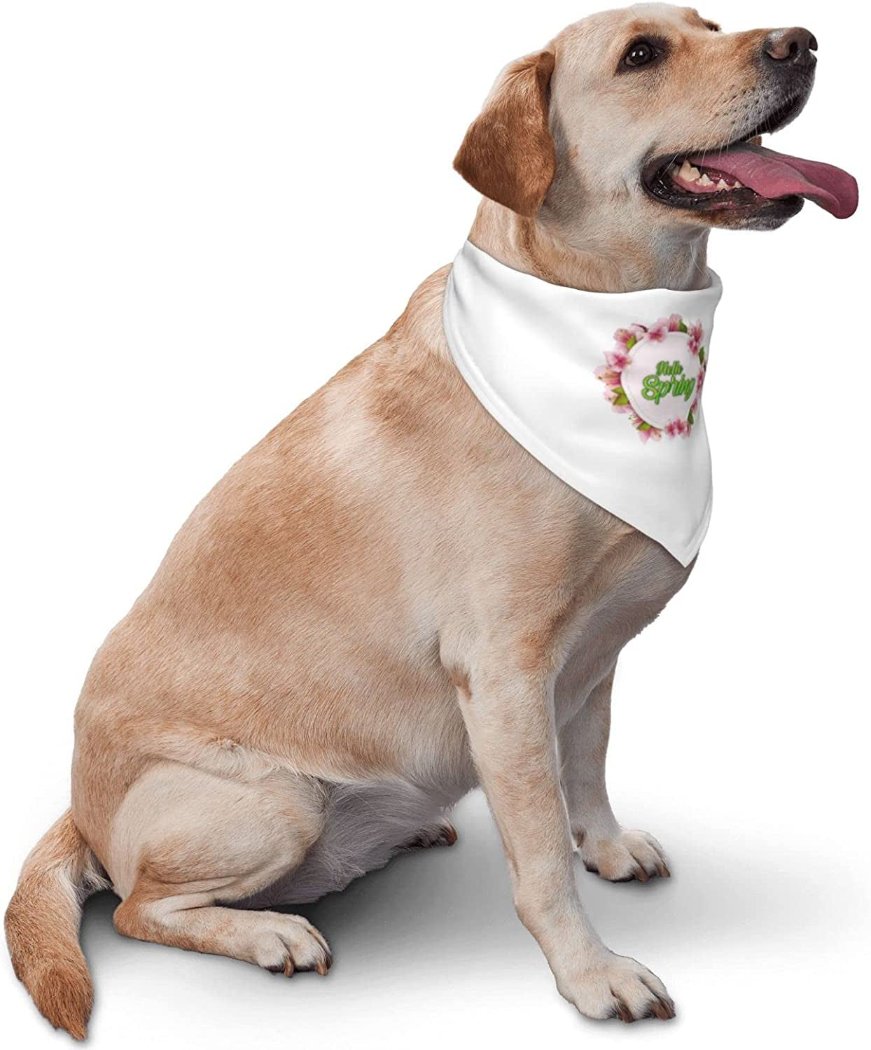 Hello Spring Floral Pet Dog and Cat Decorative Triangle Scarf,Dog Bandana,Breathable and Stain Resistant. Animals & Pet Supplies > Pet Supplies > Dog Supplies > Dog Apparel ZALTAS   