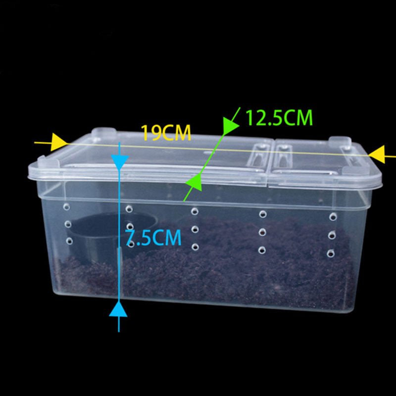 Mulanimo Transparent Feeding Box Reptile Box Amphibian for Snake Cage Lizard Spider Reptile Combination Animals & Pet Supplies > Pet Supplies > Reptile & Amphibian Supplies > Reptile & Amphibian Food Mulanimo   