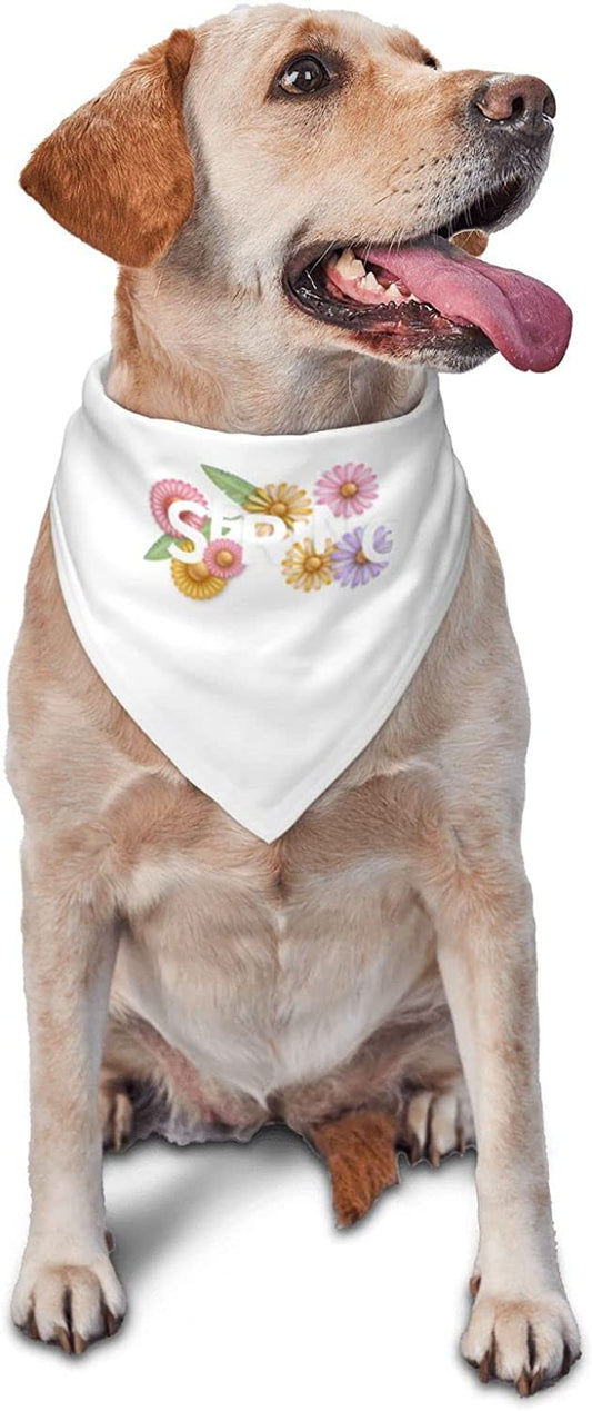 Hello Spring Colorful Flowers Floral Pet Dog and Cat Decorative Triangle Scarf,Dog Bandana,Breathable and Stain Resistant.