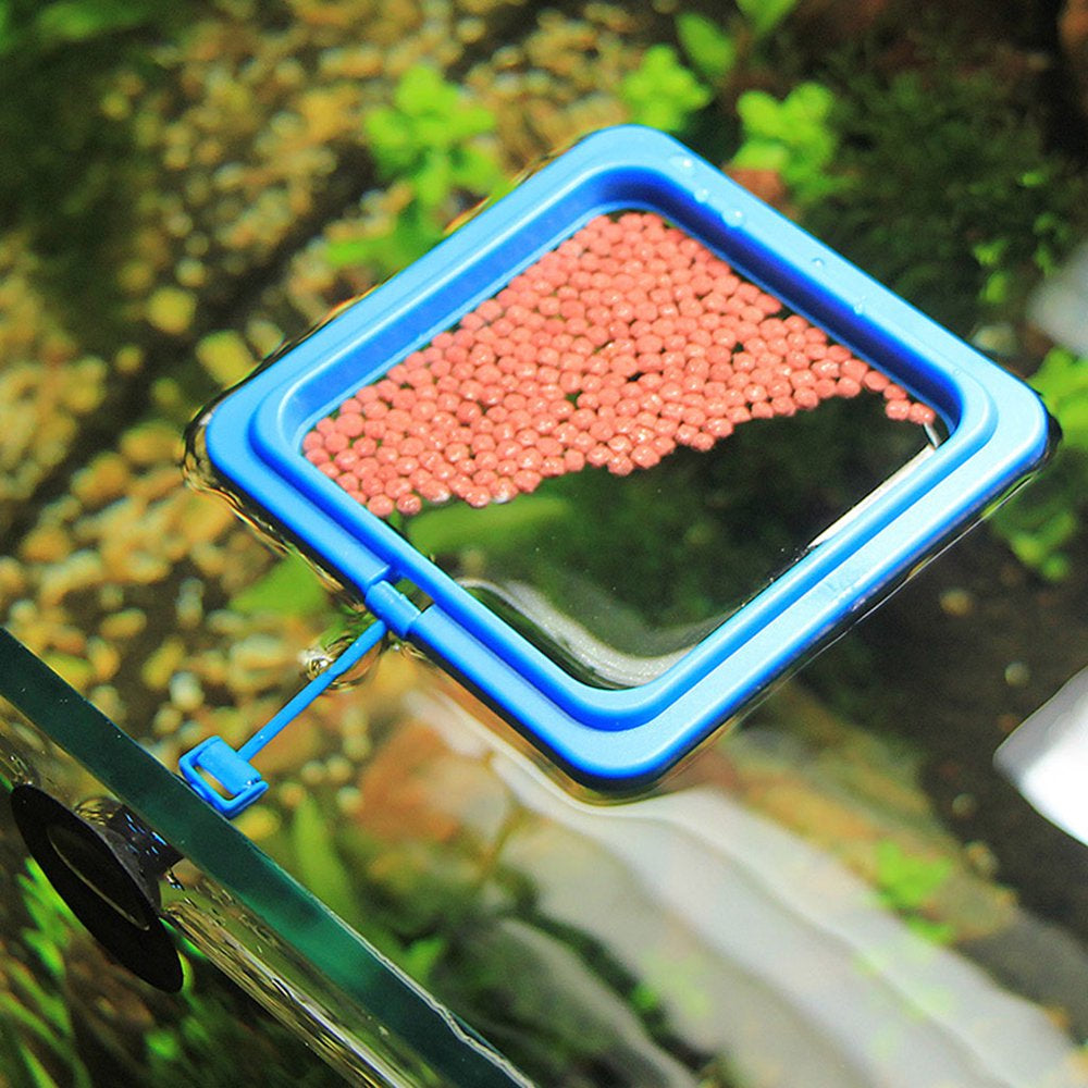 BOOYOU 6 Pcs Aquarium Feeding Set Betta Leaf Bed Pad Feeding Ring Plastic Fishnet Animals & Pet Supplies > Pet Supplies > Fish Supplies > Aquarium Fish Nets BOOYOU   