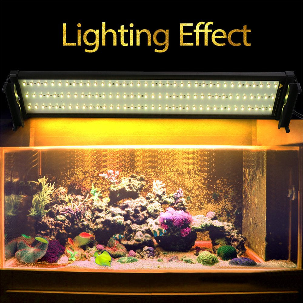 Aquarium Hood Lighting Color Changing Remote Controlled Dimmable LED Light for Aquarium/Fish Tank (28"--36") Animals & Pet Supplies > Pet Supplies > Fish Supplies > Aquarium Lighting KINGBEST   