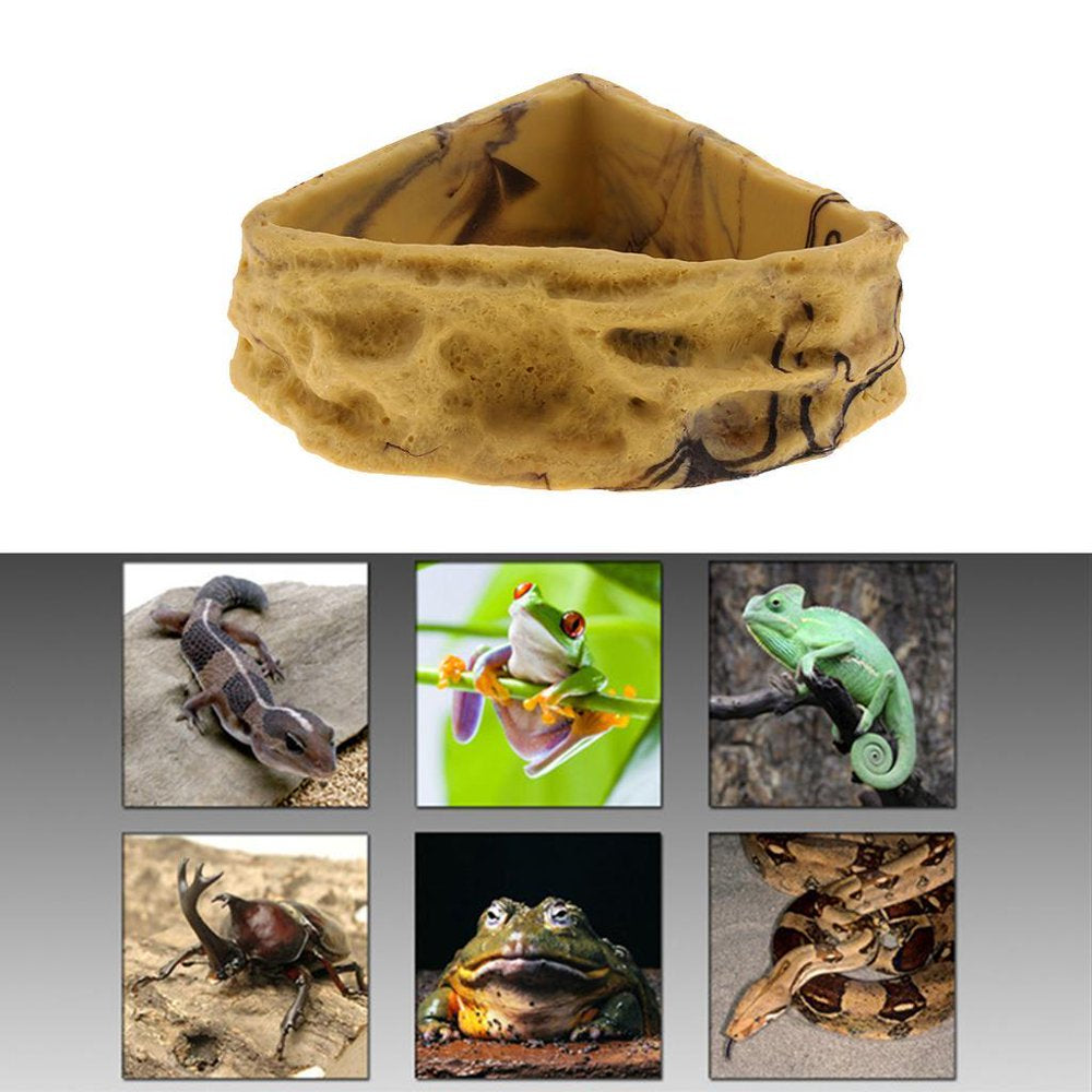 Reptile Feeding Bowl Pet Amphibians Tortoise Food Feeder Water Drinker Dish Dispenser Holder Feeding 3 Animals & Pet Supplies > Pet Supplies > Reptile & Amphibian Supplies > Reptile & Amphibian Food perfk   